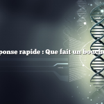 Réponse rapide : Que fait un boucher ?